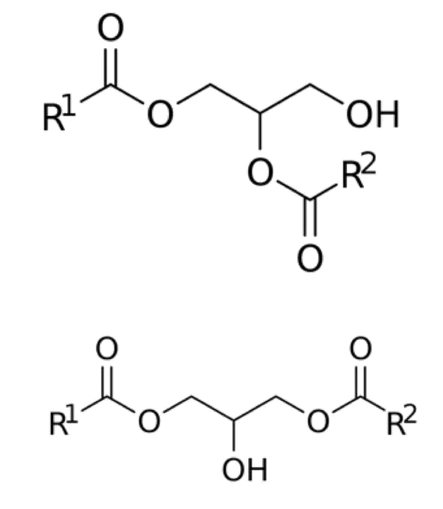 diacylglycerol : 甘油二酯