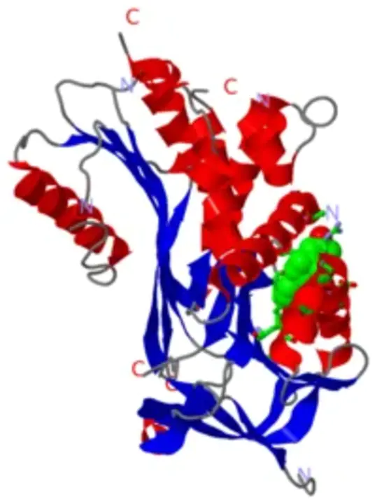 Corticosteroid-Binding Globulin : 皮质类固醇结合球蛋白