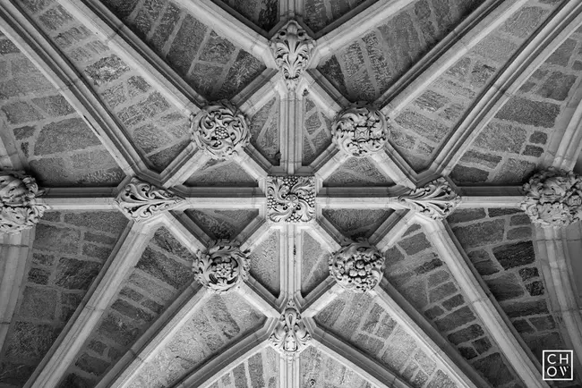 Bodleian Library, Oxford University : 牛津大学博德莱恩图书馆