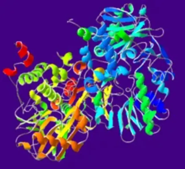 monoamine oxiidase-A : 单胺氧化酶-A