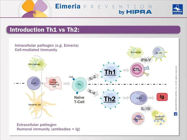 Pathogen-Associated Molecular Pattern(S) : 病原体相关分子模式