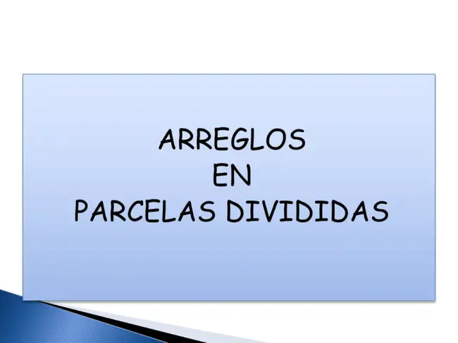 Direccion General de Ingresos : 税务总局