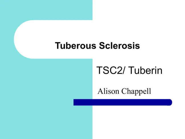 Tuberous Sclerosis Complex 1 : 结节性硬化综合征1