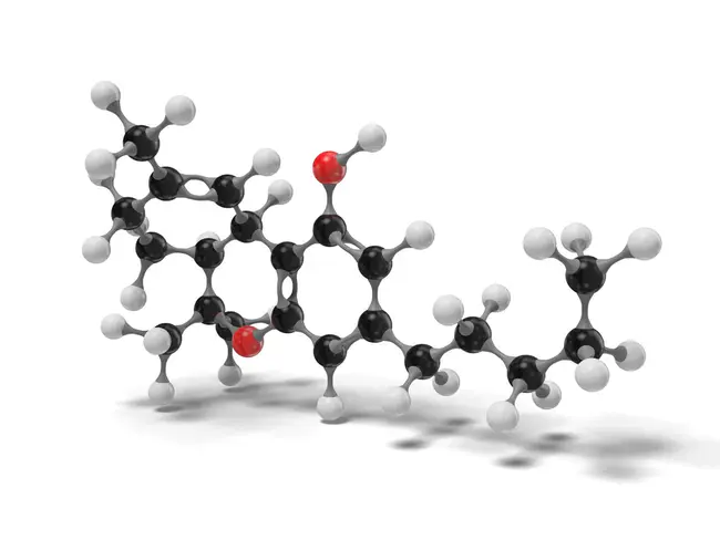 tetrahydrocannabinol : 四氢大麻酚