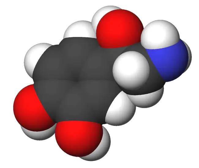 norepinephrine-dopamine reuptake inhibitor : 去甲肾上腺素多巴胺再摄取抑制剂