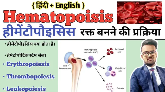 Hemopoietic Stem-Cell Transportation : 造血干细胞运输