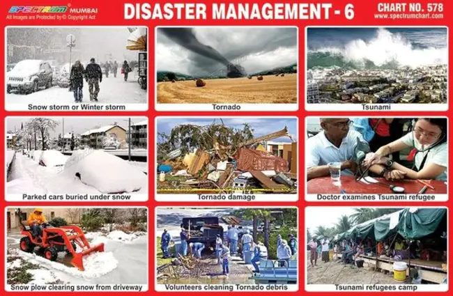 Disaster Risk Management : 灾害风险管理