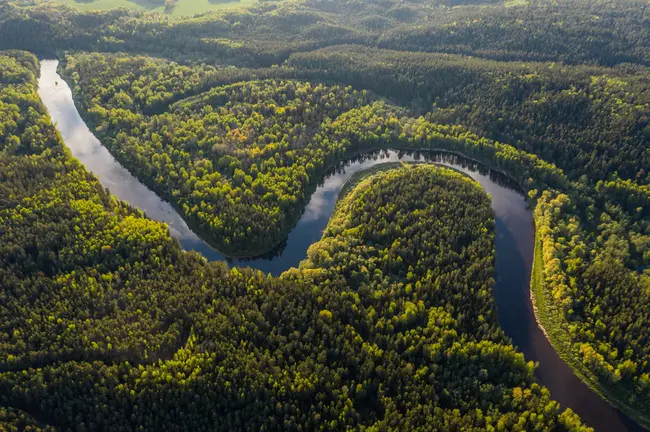 Amazon Tree Diversity Network : 亚马逊树多样性网络