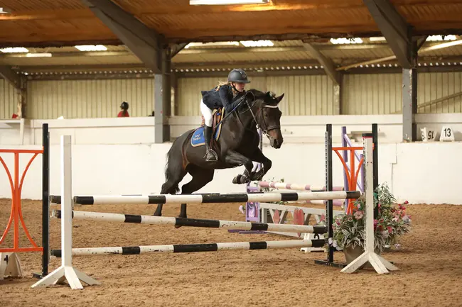 Pony Breed Association : 小马繁殖协会