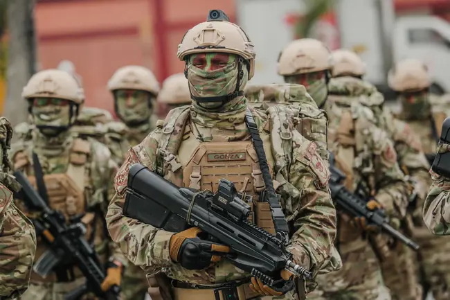 Fuerzas Armadas de Liberacion Nacional : 民族解放武装力量