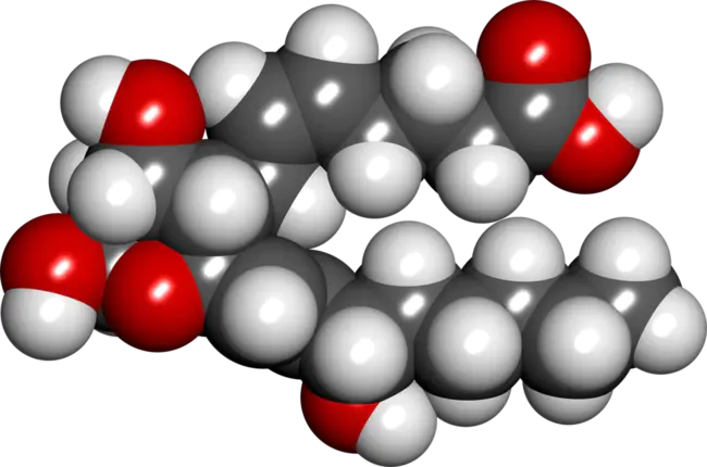 Thromboxane A2 : 血栓素A2