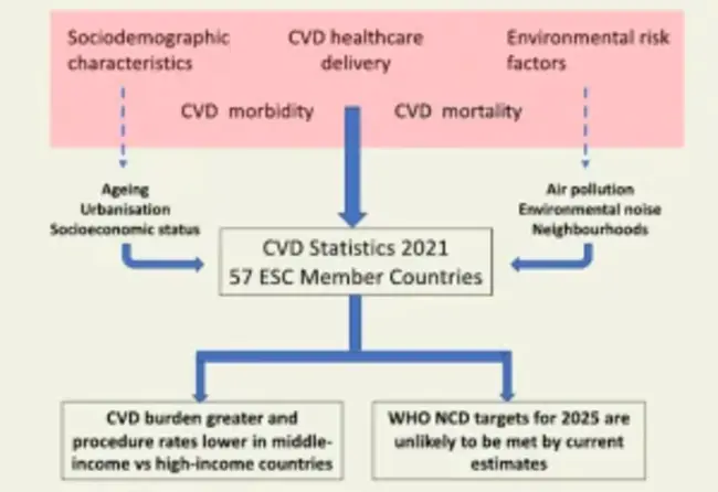 European Cardiology Section Foundation : 欧洲心脏病学科基金会