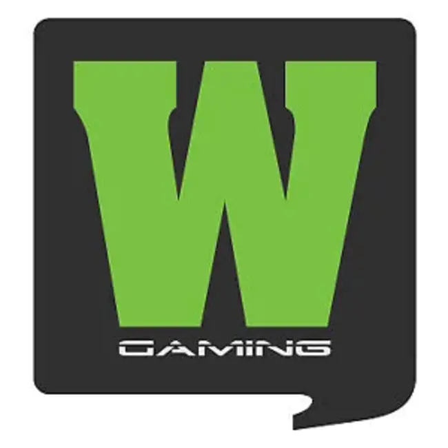 Wise Guys Gaming : 聪明人的游戏