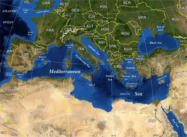 Mediterranean : 地中海