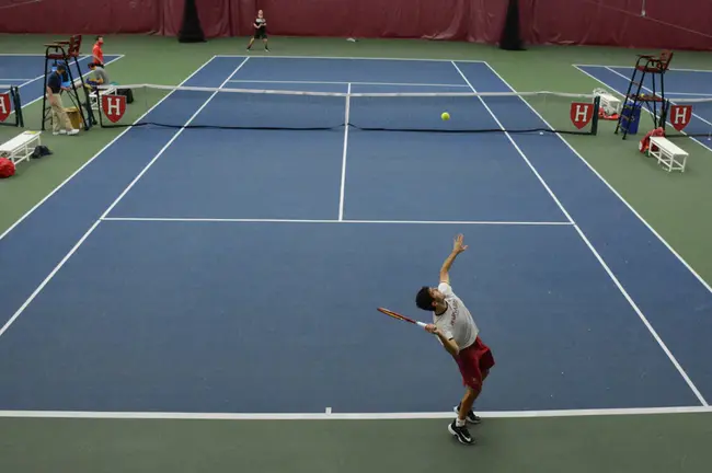 Harvard Table Tennis Club : 哈佛乒乓球俱乐部