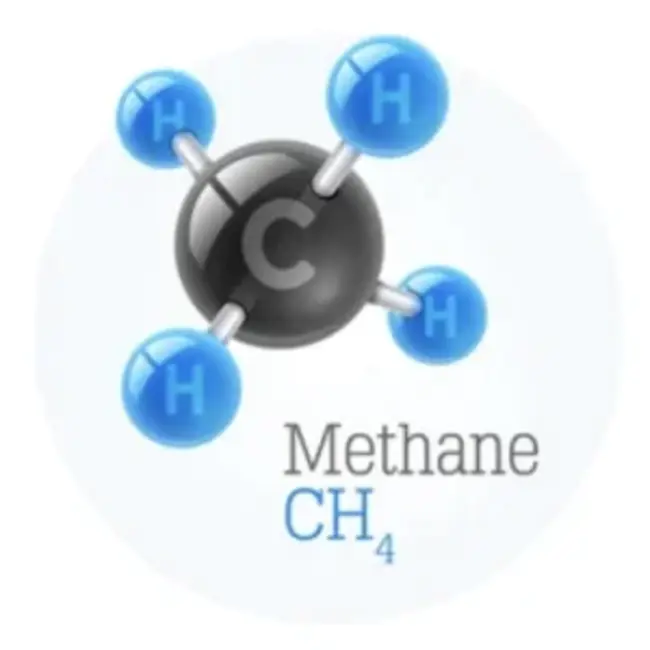 Non-Methane Organic Gases : 非甲烷有机气体