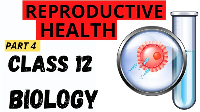 Reproductive Health Research Network : 生殖健康研究网