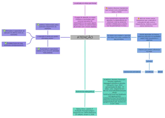 Perturbações do Défice de Atenção e Hiperactividade : 注意力缺陷障碍和多动症