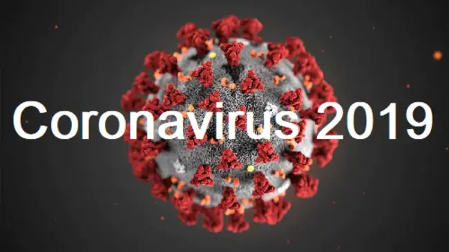 New Coronavirus : 新冠状病毒