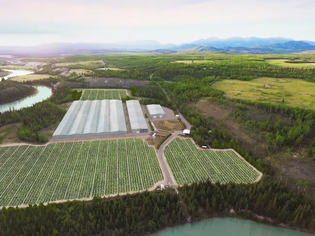 Yukon Naturopathic Association : 育空自然疗法协会