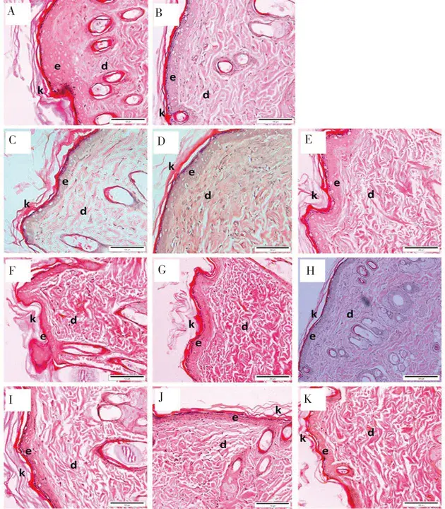 epithelial cell adhesion molecule : 上皮细胞粘附分子