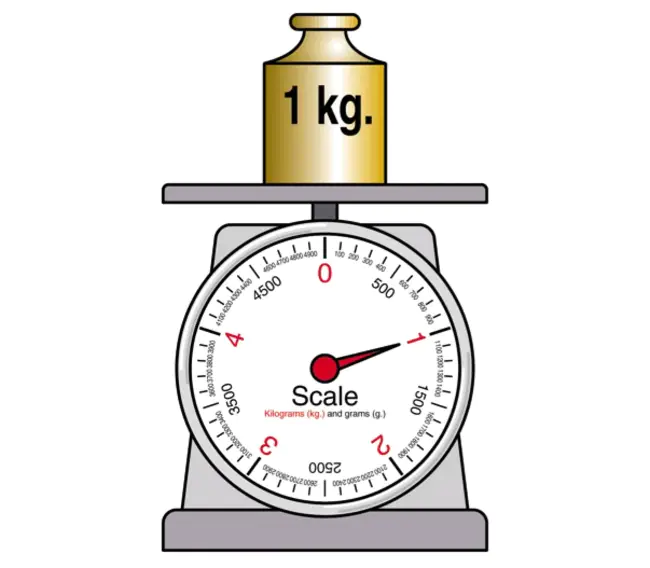 Kilograms : 千克