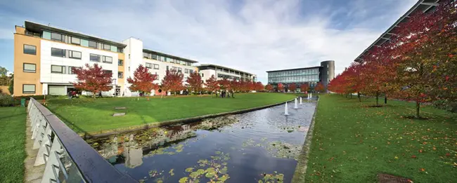 University Entrance : 大学入学