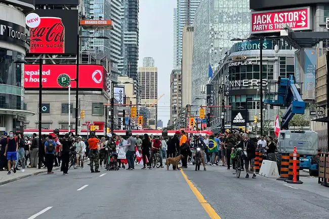 Toronto Anti-Violence Intervention Strategy : 多伦多反暴力干预战略