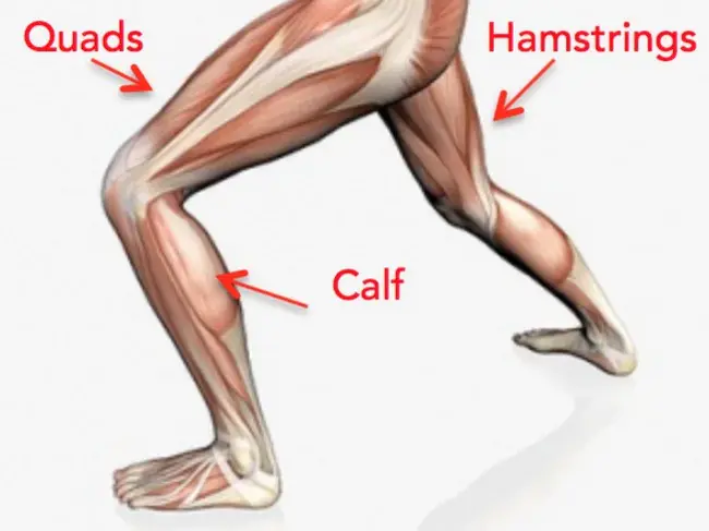 Exercise-Associated Collapse : 运动相关折叠