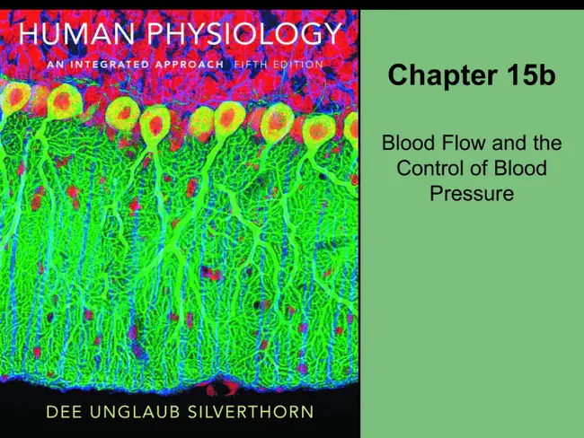 Vascular Endothelial Growth Factor Receptor : 血管内皮生长因子受体