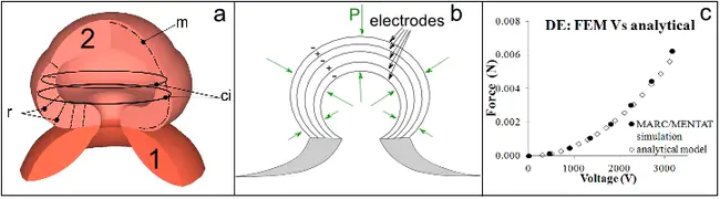 Brain Research through Advancing Innovative Neurotechnologies : 通过推进创新神经技术进行大脑研究