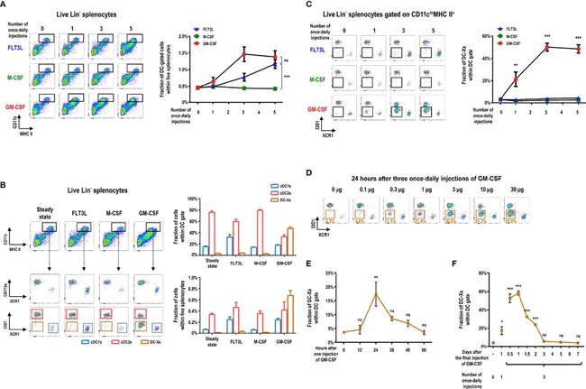 Granulocyte-Macrophage Colony-Stimulating Factor : 粒细胞-巨噬细胞集落刺激因子