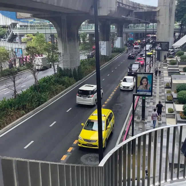 Roadway Rare and Exotic Plants : 道路珍稀异国植物