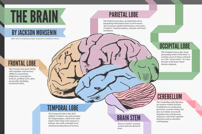 Brain Performance Index : 脑功能指数