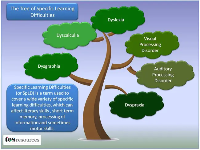 specific learning disability/ies : 特定学习障碍