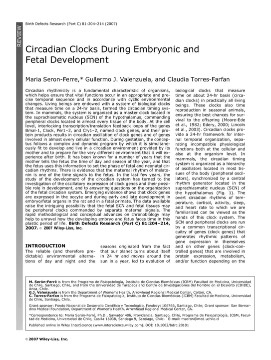 Human Embryonic Kidney : 人胚胎肾