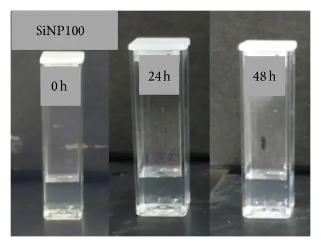 Mesoporous Silica Nanoparticles : 介孔二氧化硅纳米颗粒