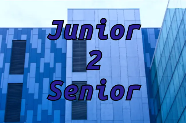 Junior Engineer : 初级工程师