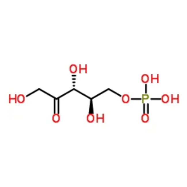 Ribulose-1,5-bisphosphate : 核酮糖-1,5-二磷酸