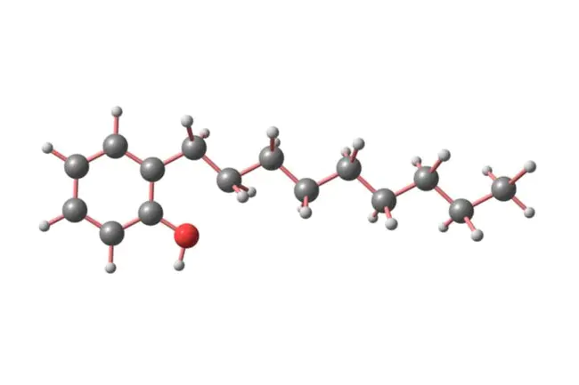 alkylphenol ethoxylates : 烷基酚聚氧乙烯醚