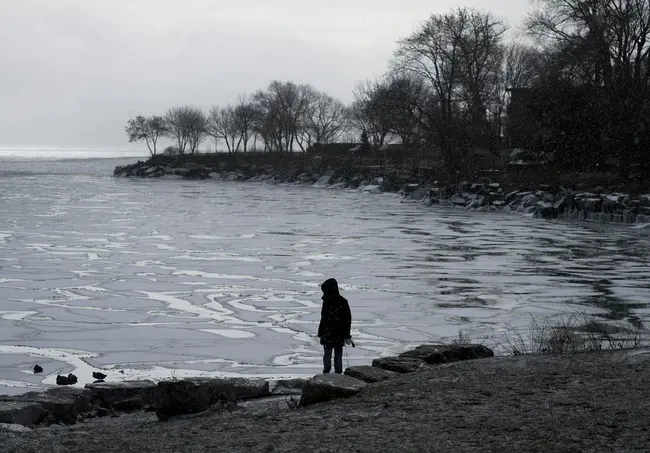 Environmental Prediction in Canadian Cities : 加拿大城市环境预测