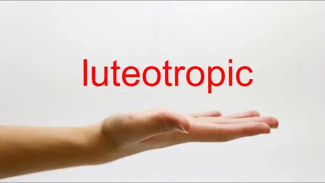 Luteotropic Hormone : 促黄体激素