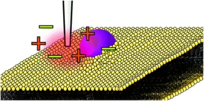 Scanning Ion-conductance microscopy : 扫描离子电导显微镜