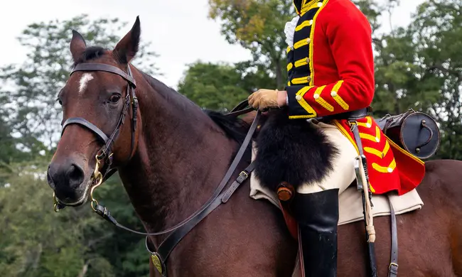 Fort Garry Horse : 加里堡马