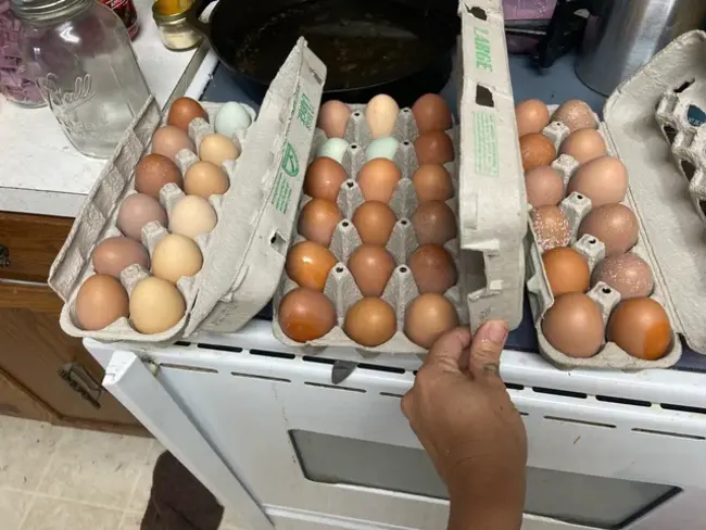 Egg Farmers of Ontario : 安大略省的蛋农