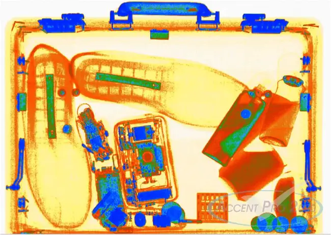 dual-energy xray absorptimetry : 双能X射线吸收法