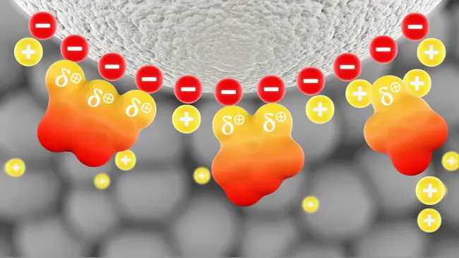 Ion-exchange chromatography : 离子交换色谱法