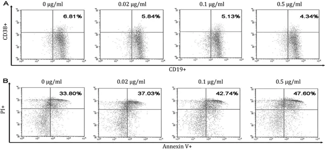 midblastula transition antigen : 中囊胚过渡抗原