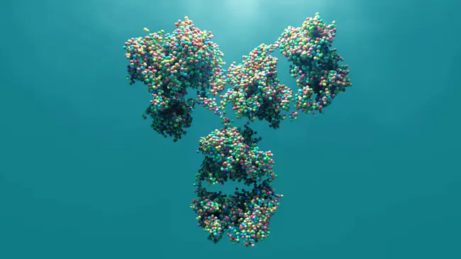 Antibody-Drug Conjugates(S) : 抗体药物结合物