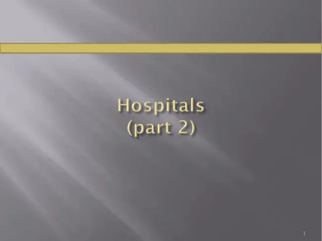 Partial Hospital Program(S) : 部分医院计划